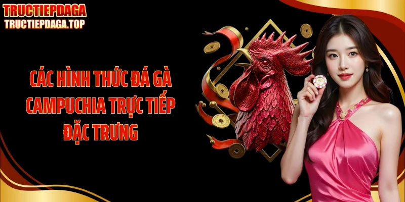 Các hình thức đá gà Campuchia trực tiếp đặc trưng