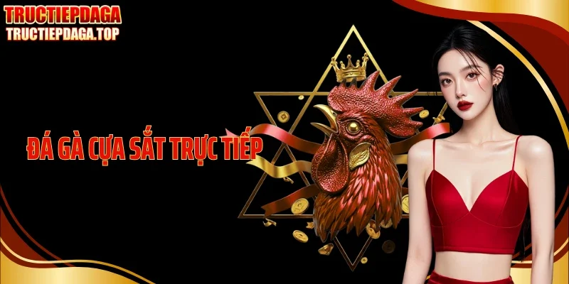 Đá Gà Cựa Sắt Trực Tiếp Với Nhịp Đấu Gắt Khó Rời Mắt