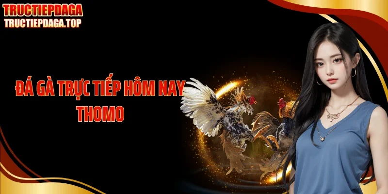 Đá Gà Trực Tiếp Hôm Nay Thomo - Kèo Nảy Lửa, Căng Từng Hiệp