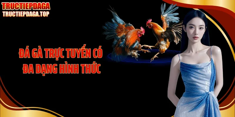da ga truc tuyen co da dang hinh thuc Đá gà trực tuyến có nhiều hình thức cuốn hút