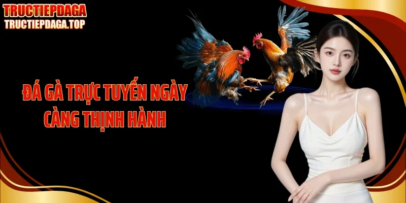da ga truc tuyen ngay cang thinh hanh Đá gà trực tuyến ngày càng hot và thịnh hành