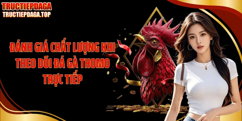 Đánh giá chất lượng khi theo dõi đá gà Thomo trực tiếp