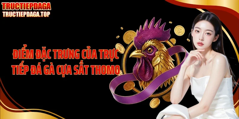 Điểm đặc trưng của trực tiếp đá gà cựa sắt Thomo
