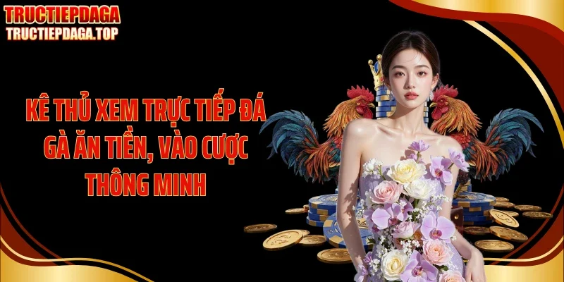 Kê thủ xem trực tiếp đá gà ăn tiền, vào cược thông minh