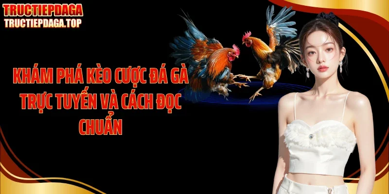 kham pha keo cuoc da ga truc tuyen va cach doc chuan Khám phá kèo cược đá gà trực tuyến và cách đọc chuẩn