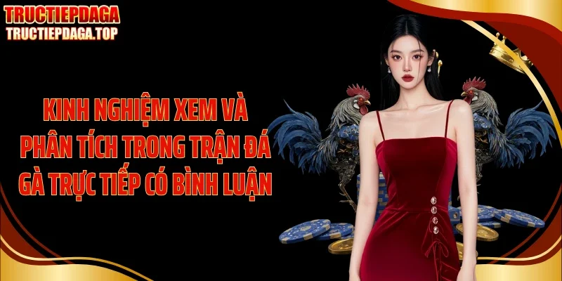 Kinh nghiệm xem và phân tích trong trận đá gà trực tiếp có bình luận