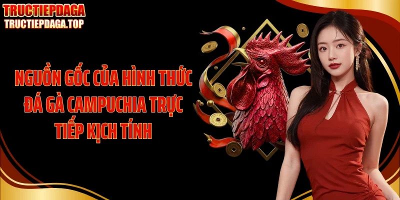 Nguồn gốc của hình thức đá gà Campuchia trực tiếp kịch tính