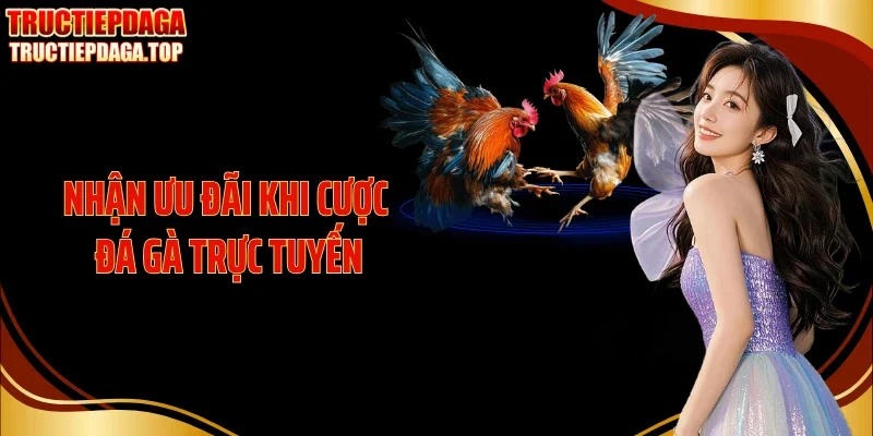 nhan uu dai khi cuoc da ga truc tuyen Nhận ưu đãi khi cược đá gà trực tuyến