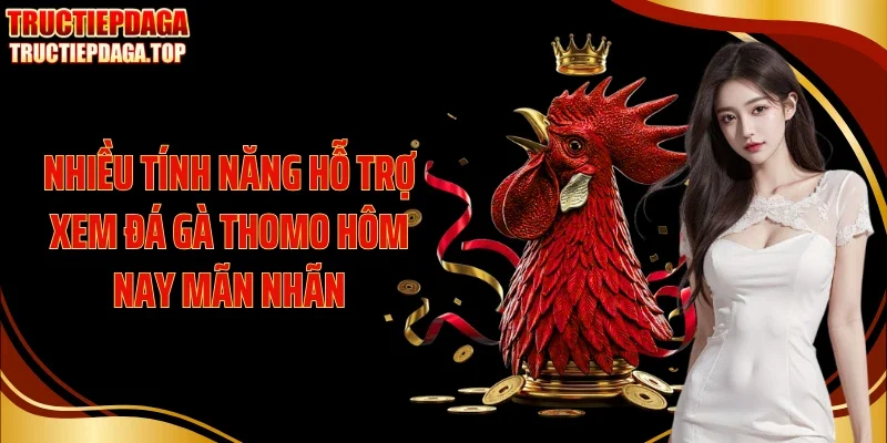 Nhiều tính năng hỗ trợ xem đá gà Thomo hôm nay mãn nhãn