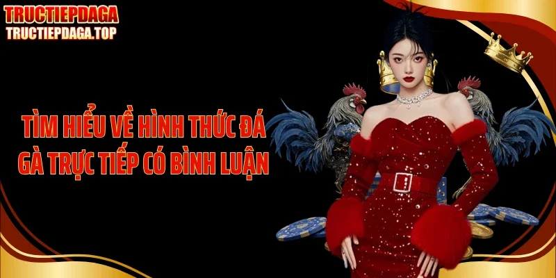 Tìm hiểu về hình thức đá gà trực tiếp có bình luận 