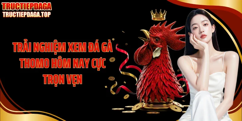 Trải nghiệm xem đá gà Thomo hôm nay cực trọn vẹn