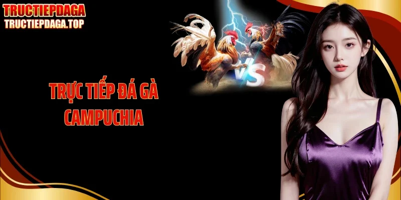 Trực Tiếp Đá Gà Campuchia Kịch Tính Trên Sới Đấu