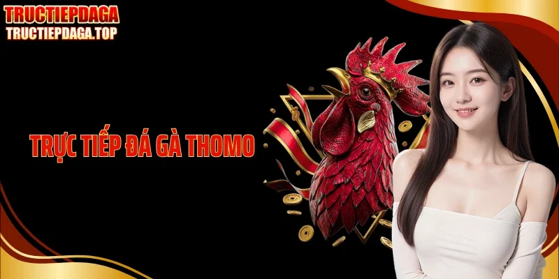 Trực Tiếp Đá Gà Thomo Với Không Khí Sới Đấu Kịch Tính