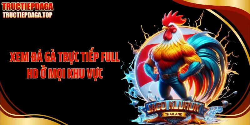 Xem đá gà trực tiếp full HD ở mọi khu vực