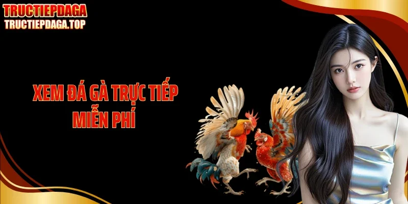 Xem Đá Gà Trực Tiếp Miễn Phí - Theo Dõi Mỗi Ngày Không Tốn Phí