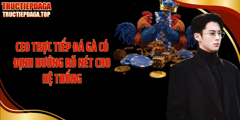 CEO Trực tiếp đá gà có định hướng rõ nét cho hệ thống