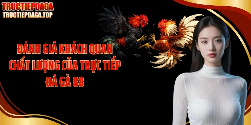 Đánh giá khách quan chất lượng của trực tiếp đá gà 88