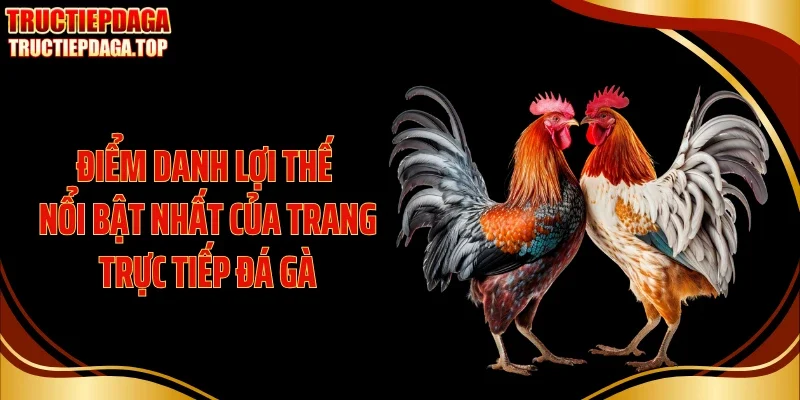Điểm danh lợi thế nổi bật nhất của trang trực tiếp đá gà