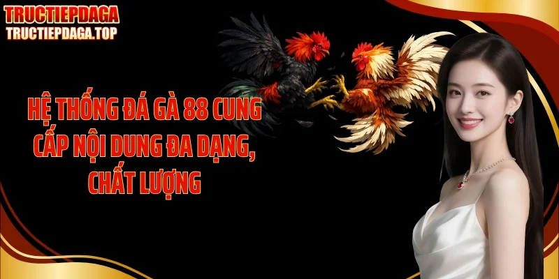 Hệ thống đá gà 88 cung cấp nội dung đa dạng, chất lượng