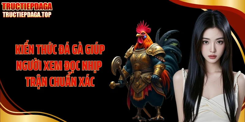 Kiến thức đá gà giúp người xem đọc nhịp trận chuẩn xác