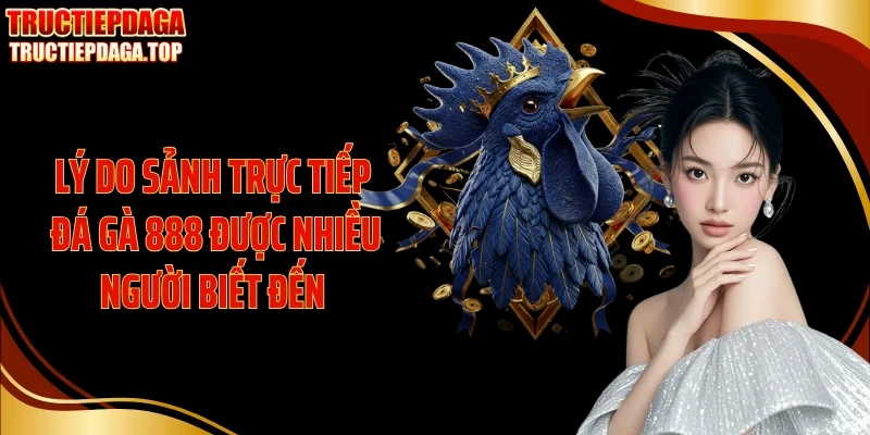 Lý do sảnh Trực tiếp đá gà 888 được nhiều người biết đến