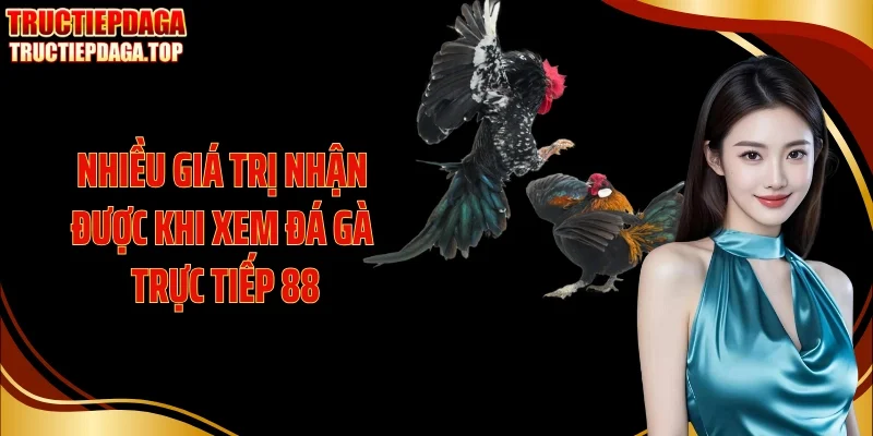 Nhiều giá trị nhận được khi xem đá gà trực tiếp 88