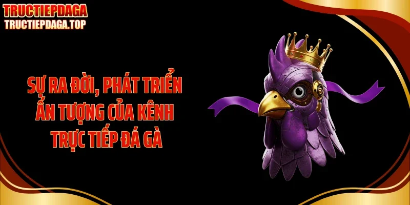 Sự ra đời, phát triển ấn tượng của kênh trực tiếp đá gà