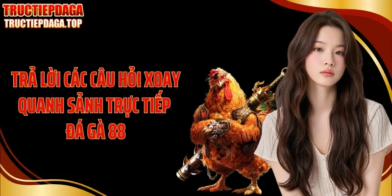 Trả lời các câu hỏi xoay quanh sảnh trực tiếp đá gà 88