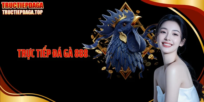 Trực Tiếp Đá Gà 888 Theo Dõi Trọn Trận, Không Gián Đoạn