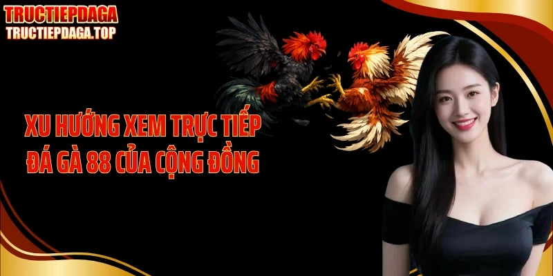 Xu hướng xem trực tiếp đá gà 88 của cộng đồng
