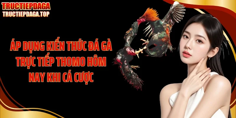 ap dung kien thuc da ga truc tiep thomo hom nay khi ca cuoc Áp dụng kiến thức đá gà trực tiếp thomo hôm nay khi cá cược