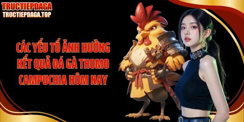 Các yếu tố ảnh hưởng kết quả đá gà thomo Campuchia hôm nay