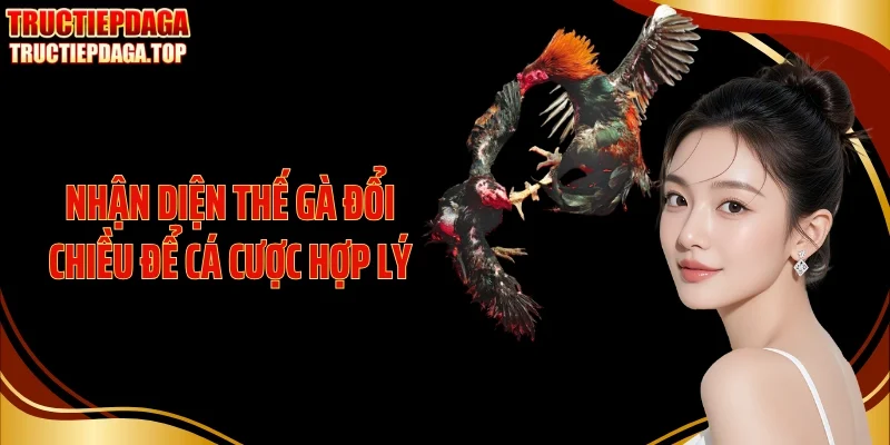 nhan dien the ga doi chieu de ca cuoc hop ly Nhận diện thế gà đổi chiều để cá cược hợp lý