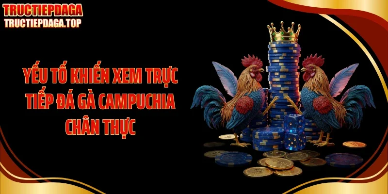 yeu to khien xem truc tiep da ga campuchia chan thuc yeu to khien xem truc tiep da gYếu tố khiến xem trực tiếp đá gà Campuchia chân thựca campuchia chan thuc